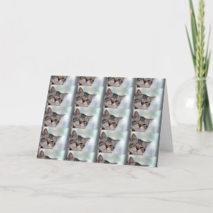 CARTE VOUS MÉRITEZ WINKS KISSES HUGS PLUS D'ANNIVERSAIRE