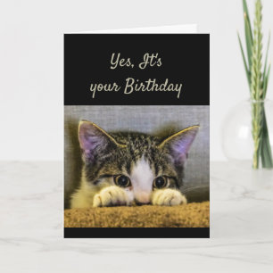 Carte Vous ne pouvez pas cacher C'est votre chaton d'ann