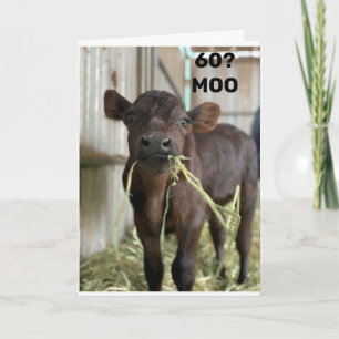 Carte VOUS NE REGARDEZ PAS UNE JOURNÉE SUR 49 "60ème ANN