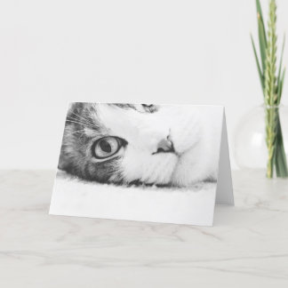 Carte Vous observant, greetingcard vide