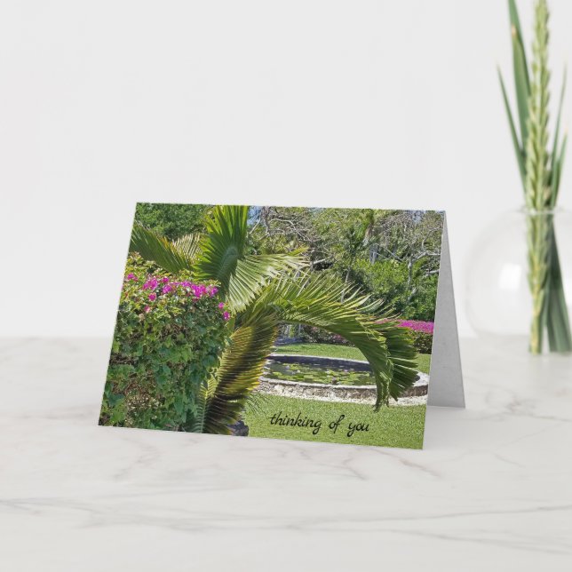 Carte vous pensez jardin tropical avec palmiers (Devant)