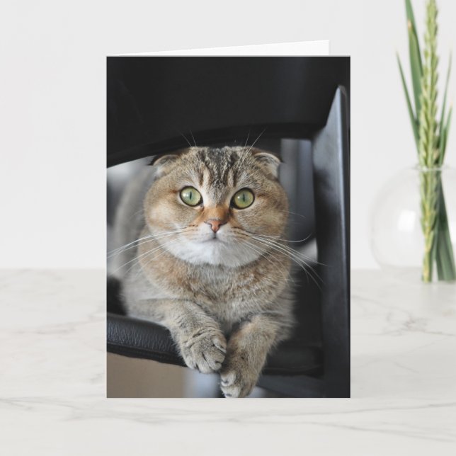 Carte Vous souhaitant le joyeux anniversaire (Devant)