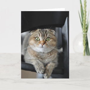 Carte Vous souhaitant le joyeux anniversaire