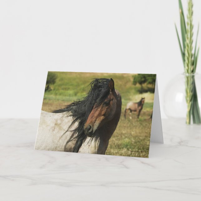 Carte Voyez la beauté (Devant)