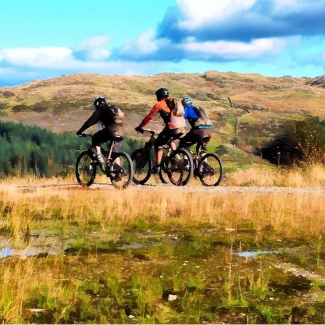 CARTE VTT (Créateur téléchargé)