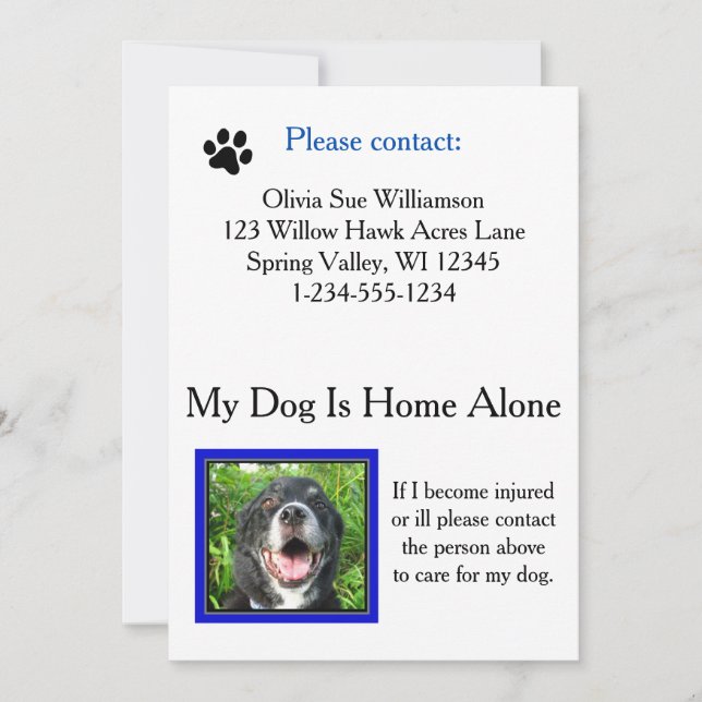 Carte Wallet de soins pour animaux de compagnie (c (Devant)