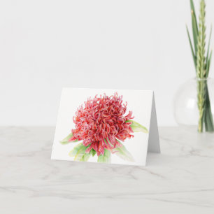 Carte Waratah rouge floral aquarelle art merci