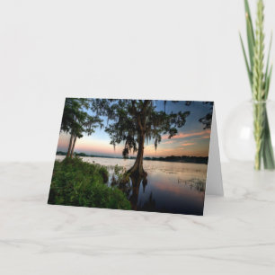 Carte Water   Force Azalea Park Maitland Floride