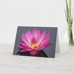 Carte Water Lily Birthday Card