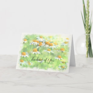 Carte Watercolor Field Daisies Penser à votre sympathie
