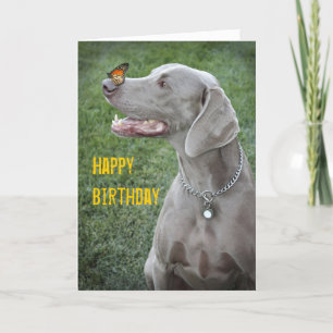 Carte Weimaraner & Papillon