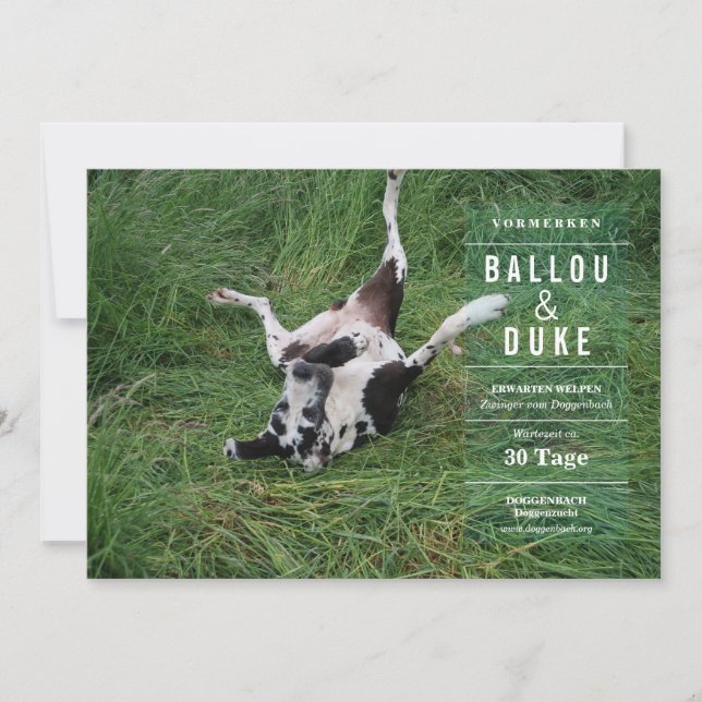 Carte Welpen Ankündigung (Devant)