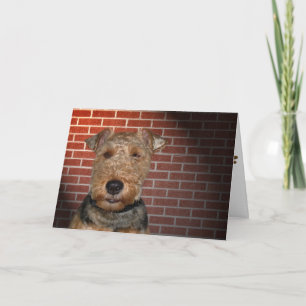 Carte Welsh Terrier