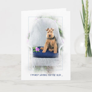 Carte Welsh Terrier dans la chaise devenant vieux