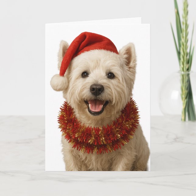 Carte West Highland Terrier Christmas card (Devant)