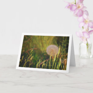 Carte Western Salsify Plante Card