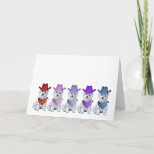 Carte Westie Cowboys All in a Line