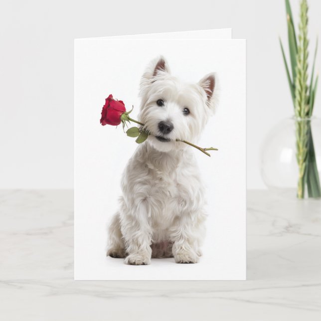 Carte Westie Valentine – Amour et dévotion éclatants (Devant)