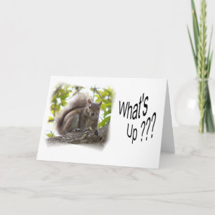 Carte WhatsUp_notecard