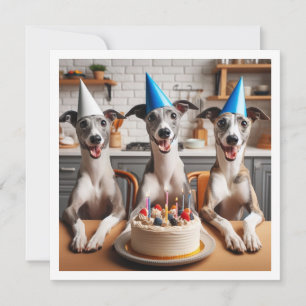 Carte Whippet, anniversaire Whippet, Whippet