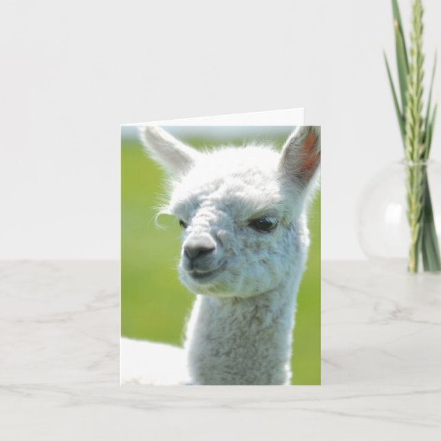 Carte White baby girl (Devant)