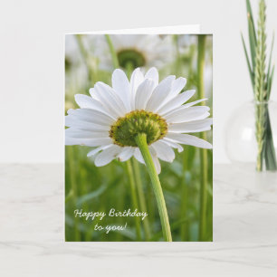 Carte white daisy-birthday
