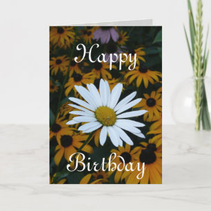 Carte White Daisy et Blackeyed Susans