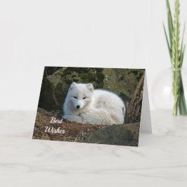 Carte White Fox Photo Félicitations Mariage Card