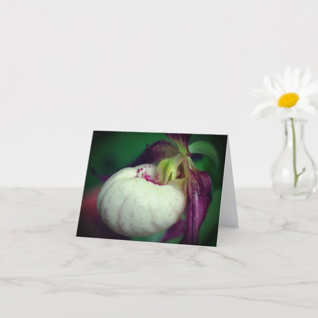 Carte White Lady Slipper Orchid Flower Photography Note (Petite plante)