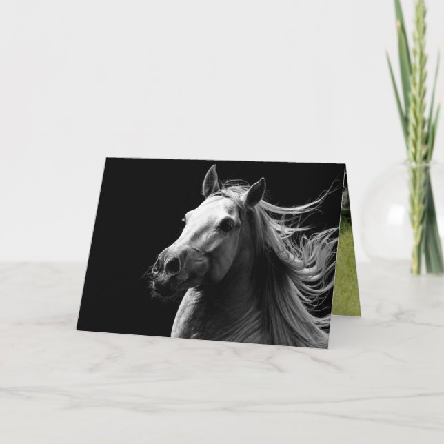 Carte White Stallion's Pride - Horse Greeting Card (Devant)
