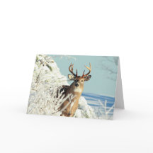 White Tail Deer Big Buck Winter Scène