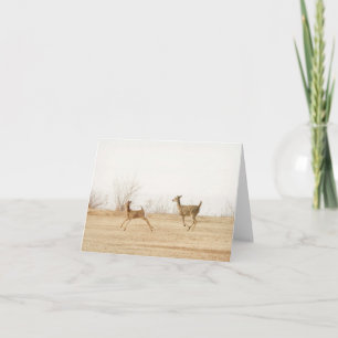Carte Whitetails d'hiver