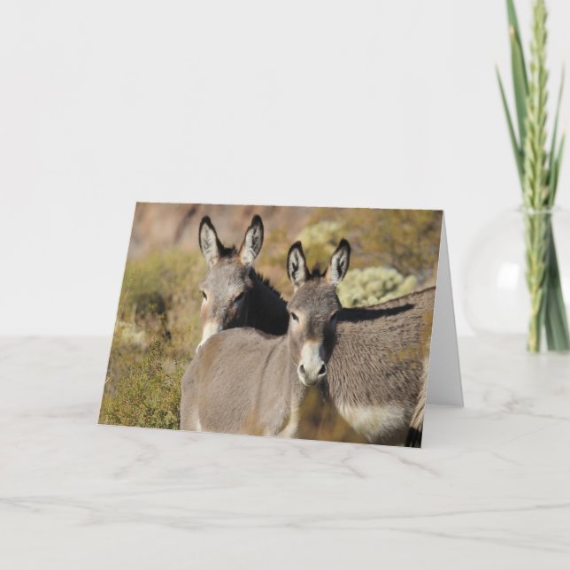 Carte Wild Arizona Burros (Devant)