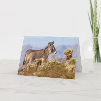 Carte Wild Burros of Arizona