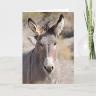 Carte Wild Burros of California