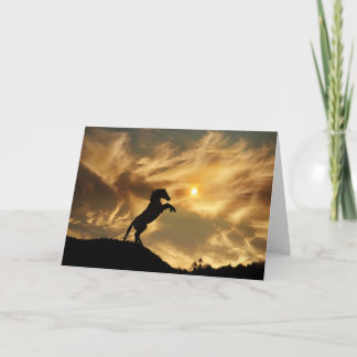 Carte Wild Horse Funny Birthday Card