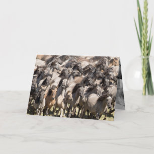 Carte Wild Run - Wild Horse Grey Card