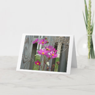 Carte Wilflowers & Patio Fence, Ami