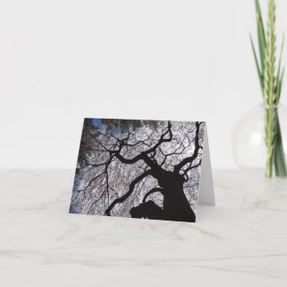 Carte Willow Note en floraison