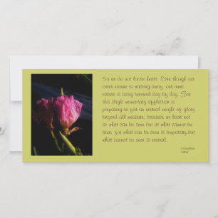 Carte windows chats fleurs 018.JPG, Donc on ne regarde p