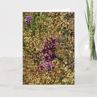Carte Wisconsin Purple Fleur sauvage, automne 2021
