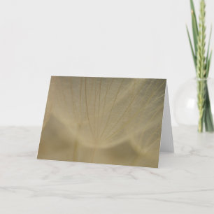 Carte Wispy White Flower