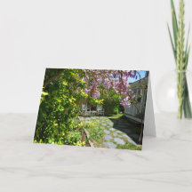 Wisteria et chaises à rochers - Martha's Vineyard