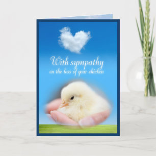 Carte With sympathy on the loss of your chicken