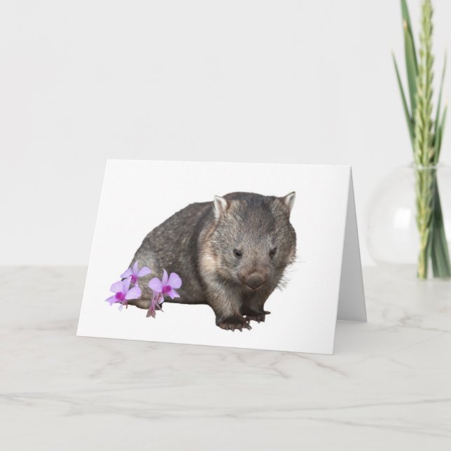 Carte Wombat et Cooktown Orchid (Devant)