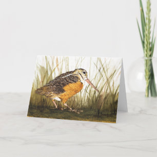 Carte Woodcock Aquarelle Salutation Crad
