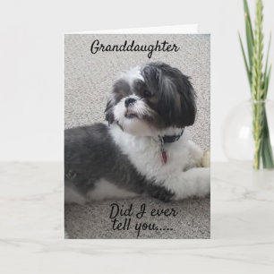 CARTE * WOOF WOOF* HEUREUX * ANNIVERSAIRE* À MA * GRAND-