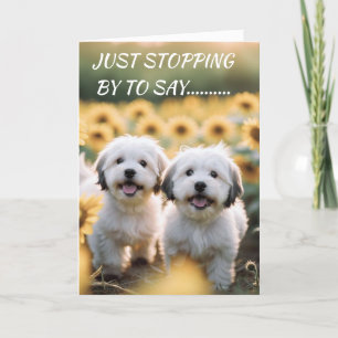CARTE WOOF WOOF SIGNIFIE "HEUREUX ANNIVERSAIRE"