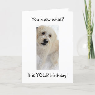 CARTE WOOF WOOF-VOUS RECHERCHEZ BON POUR "40"