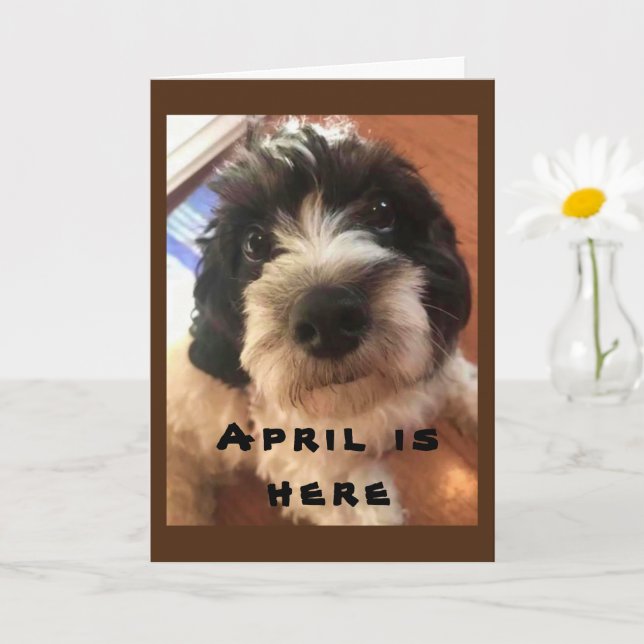 CARTE WOW/BOW WOW C'EST VOTRE **ANNIVERSAIRE D'AVRIL!**  (Petite plante)